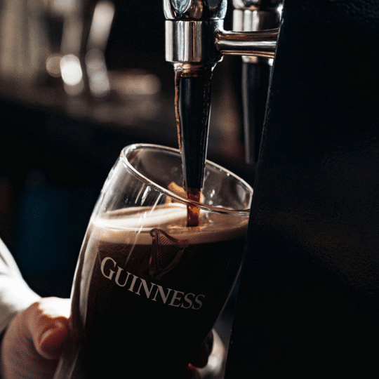 Pouring pint of Guinness at Daffodil Mulligan restaurant in Shoreditch, London